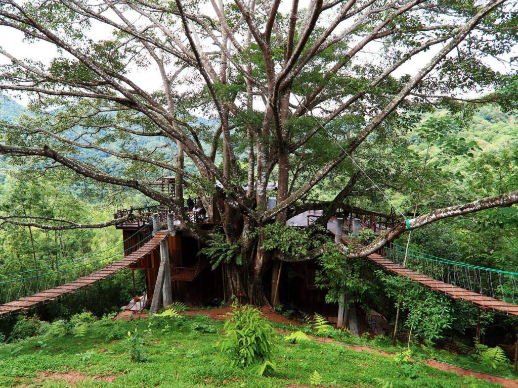 The Giant chinag mai