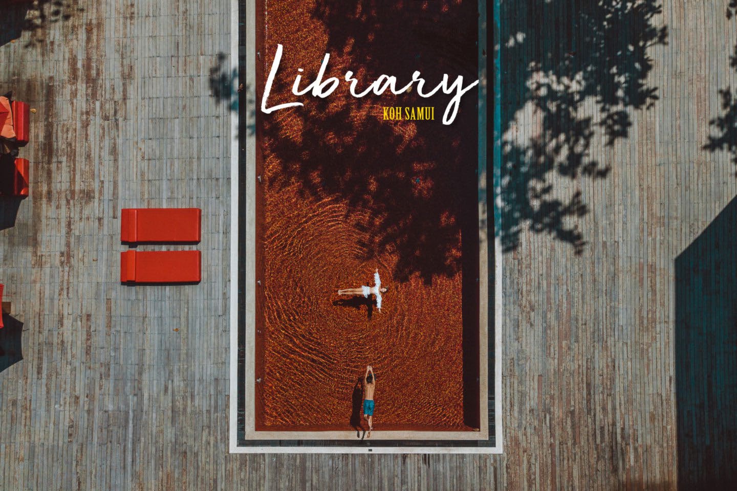 THE LIBRARY
