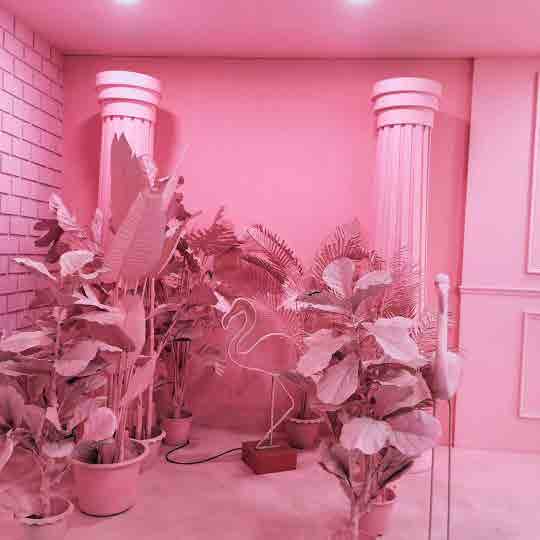 Season Cafe&Studio BKK