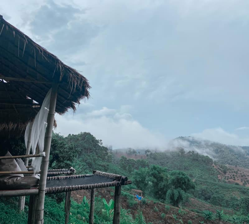 Nan Native Kew Muang