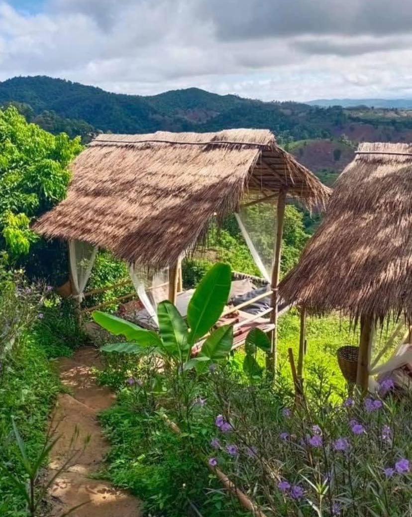 Nan Native Kew Muang