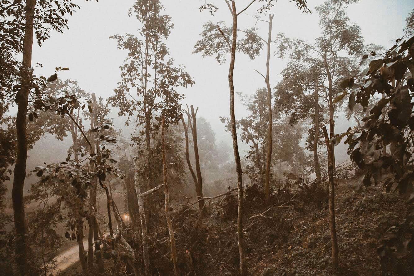 Ton Rak Farm