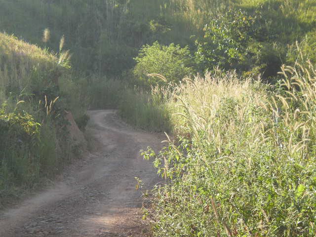 Phu Thap Boek