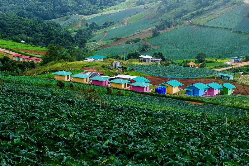 Sunset cafe Khao Kho