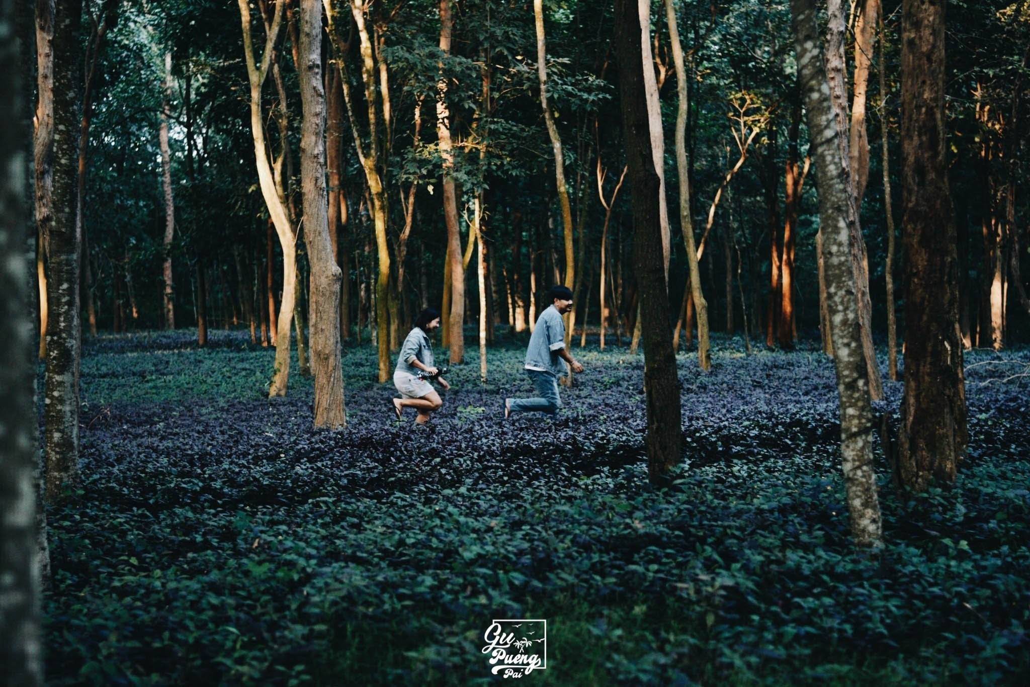 The Canvas Boutique Camp, Ratchburee
