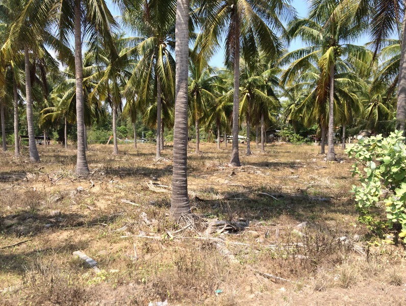Pranburi Beach