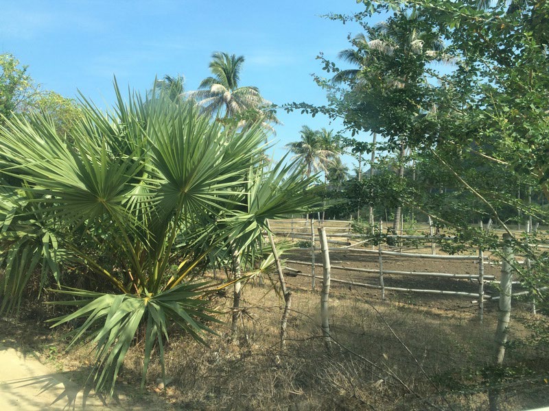 Pranburi Beach