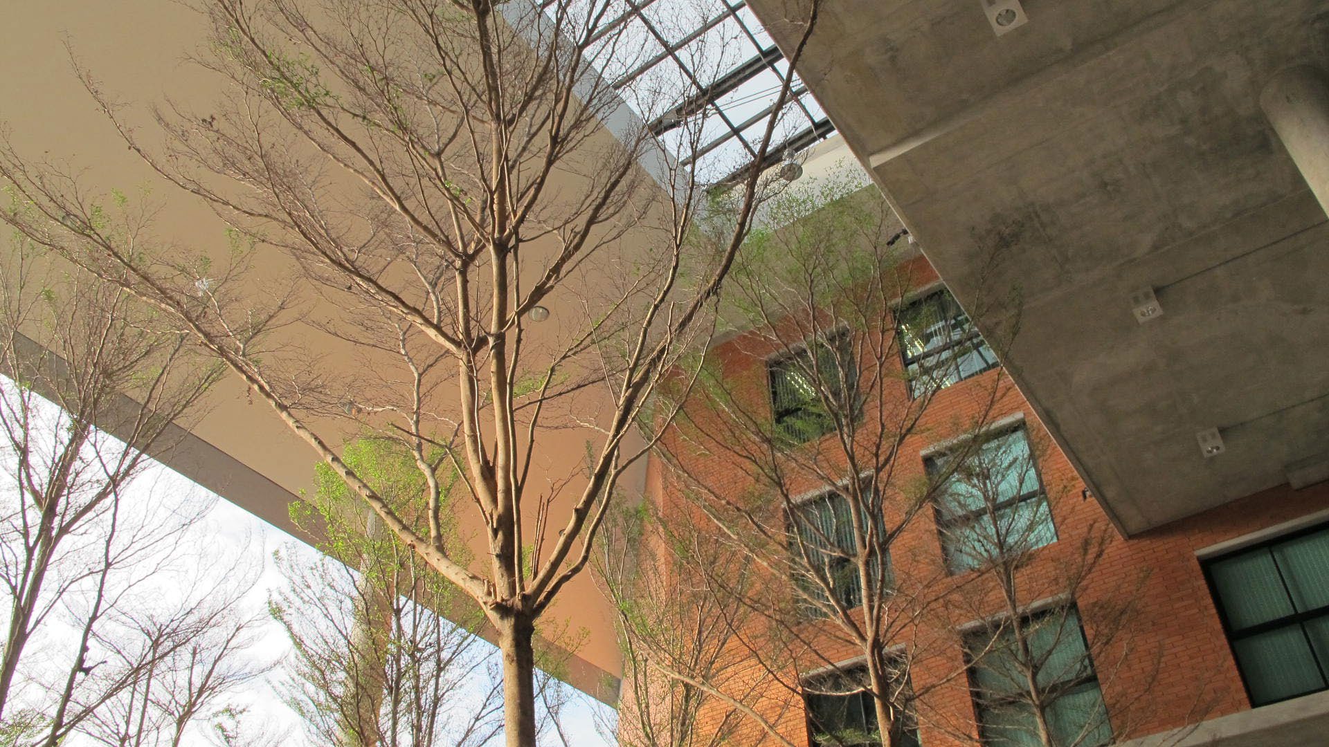 Red brick mahidol university