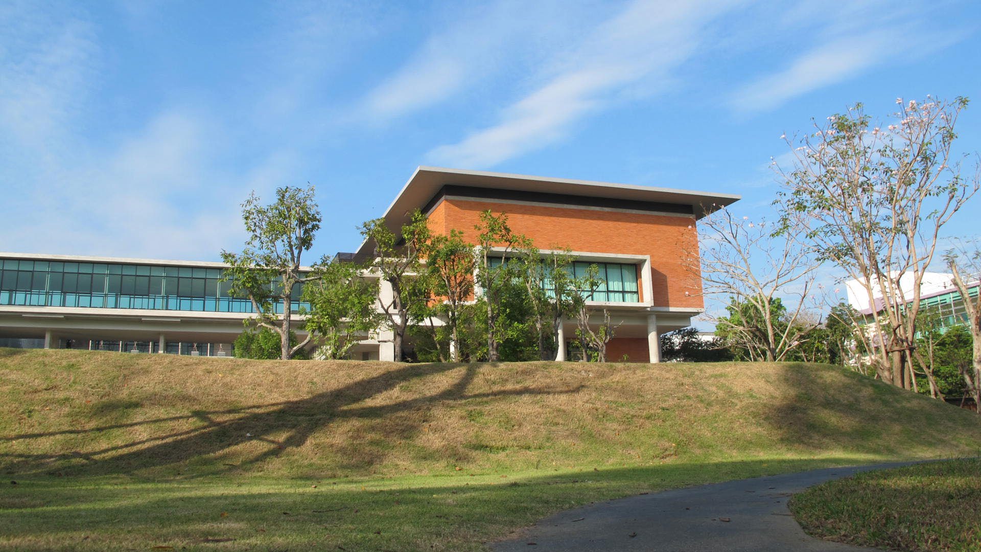 Red brick mahidol university