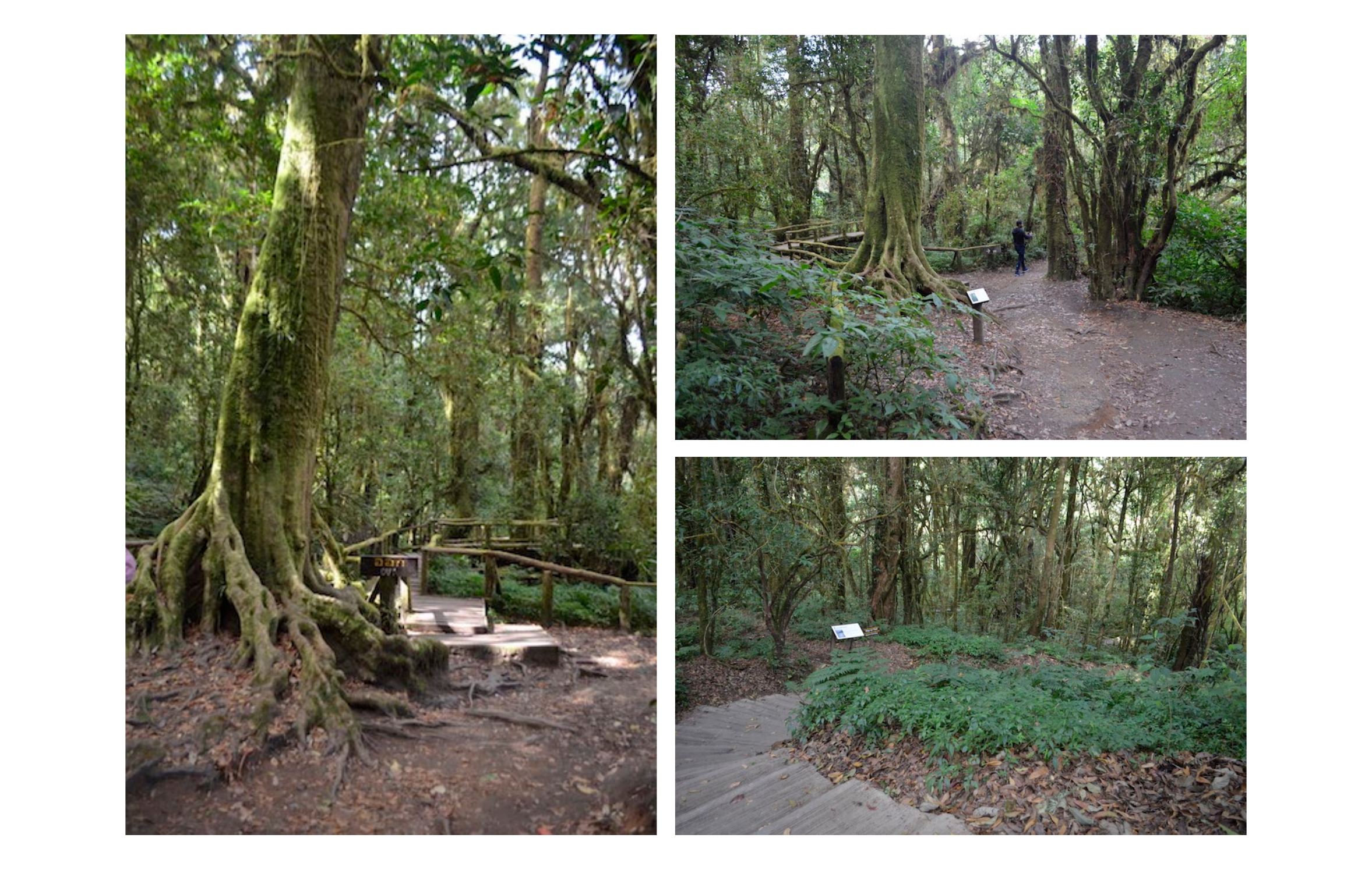 Doi Inthanon Recce scouting deck page 4