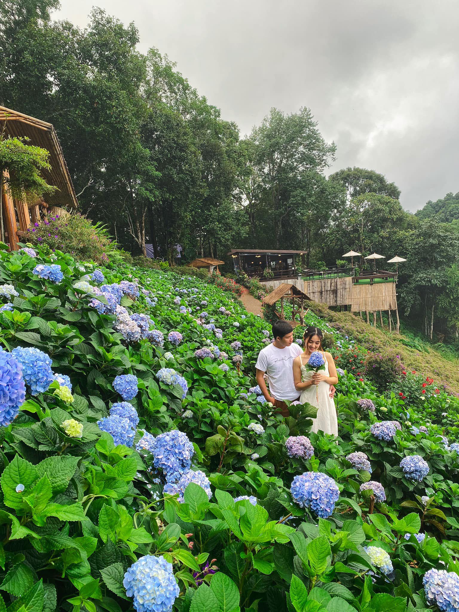 Yoddoi Monjam Chiang Mai