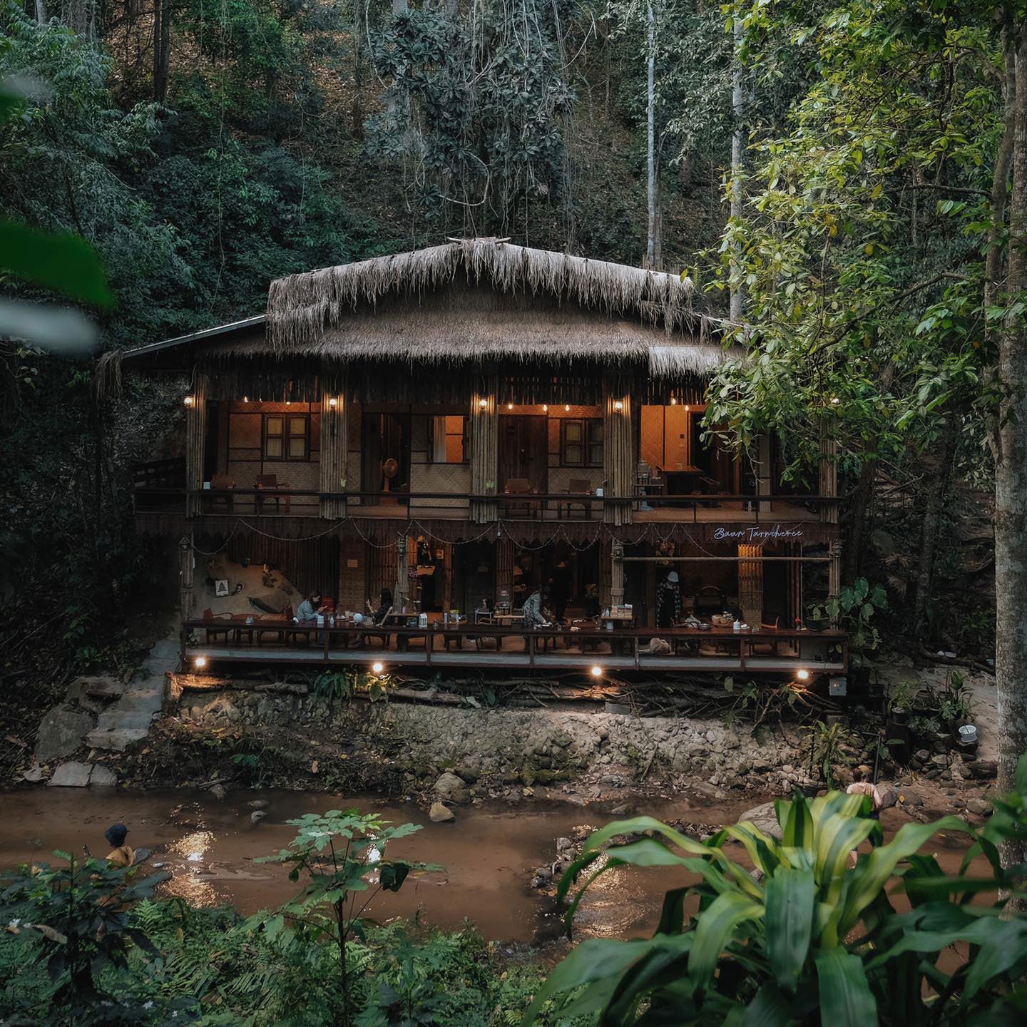 Taranchevee Chiang Mai