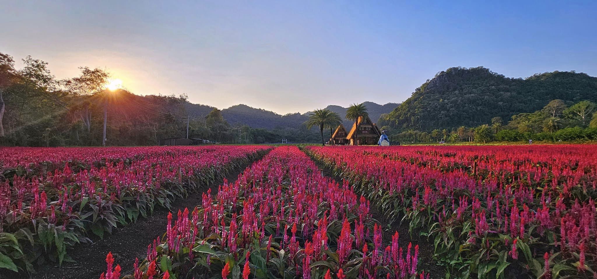 Hokkaido Khao Yai photo 1