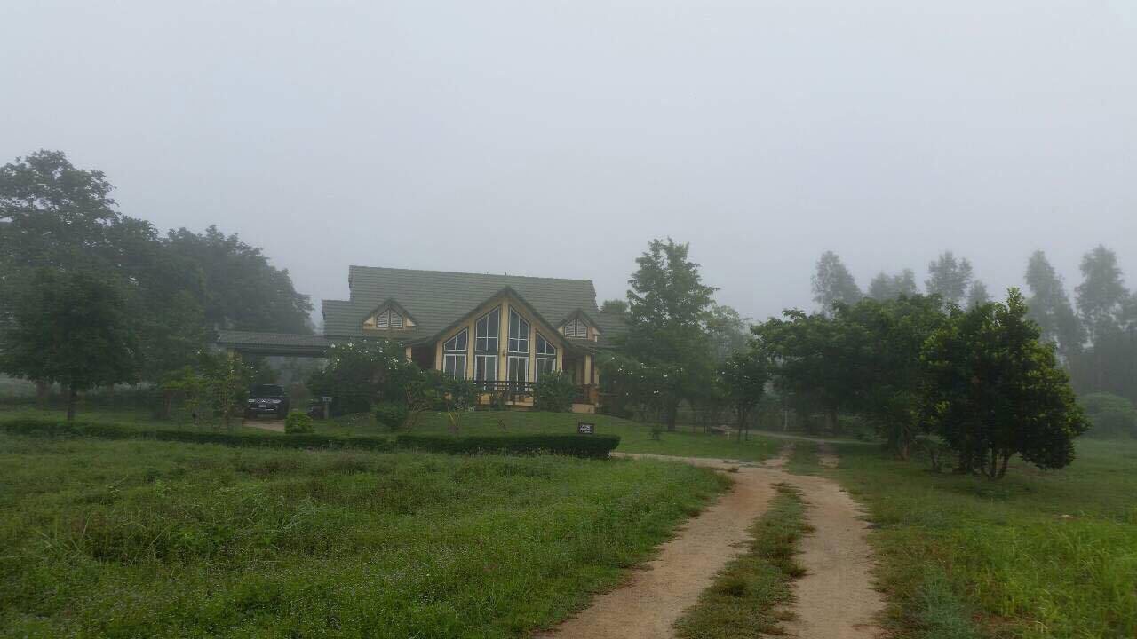Horse Baan photo 1