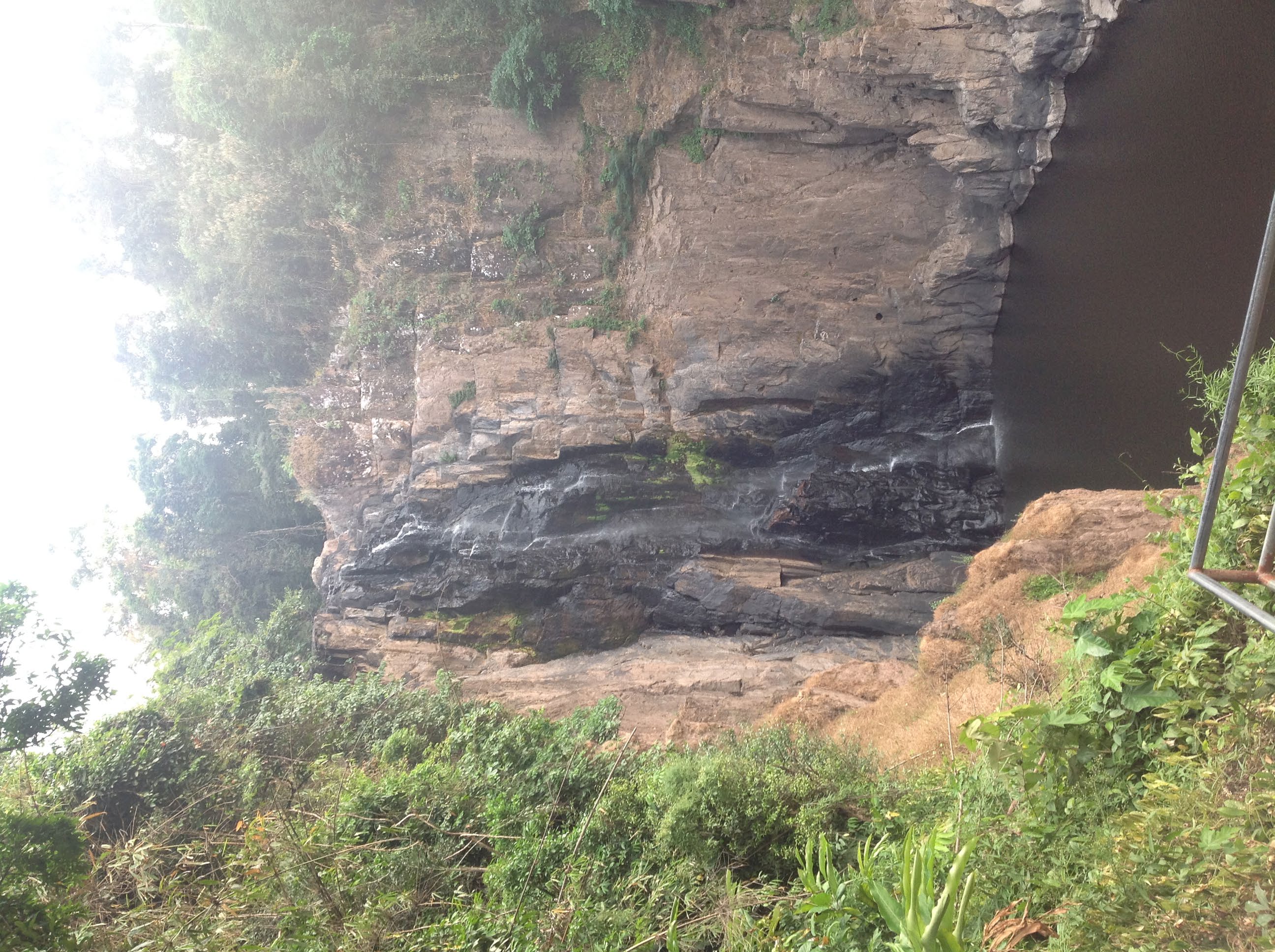 Khao Yai National Park photo 1