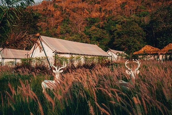 Mont Blanc Glamping, Khaoyai photo 1
