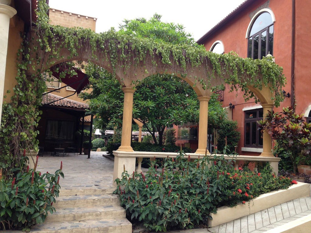 Palio photo 1